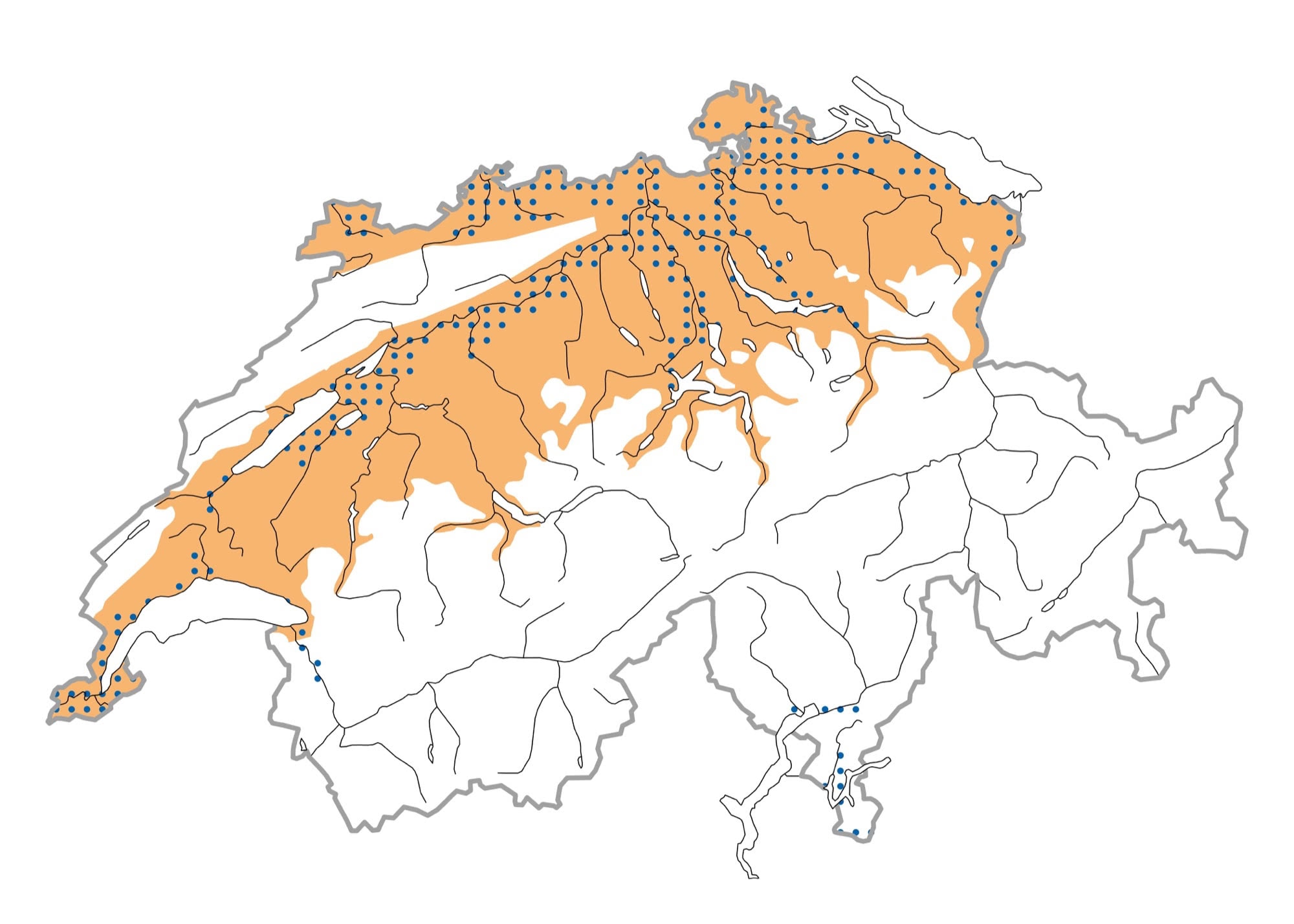 Verbreitung - Northern Lapwing