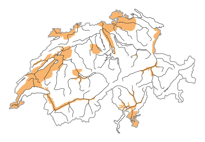Verbreitung - Tourterelle des bois