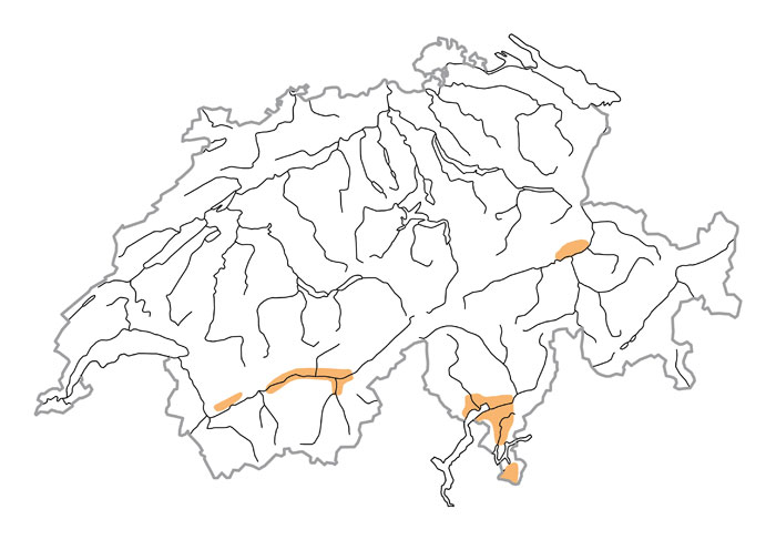 Verbreitung - Engoulevent d&rsquo;Europe
