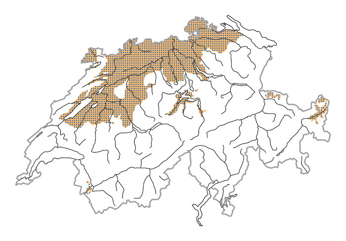 Verbreitung - Picchio cenerino