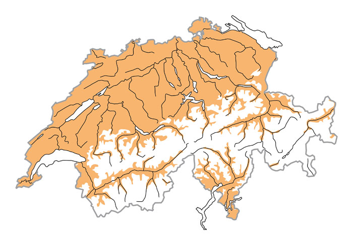 Verbreitung - Pouillot siffleur